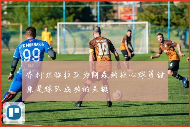 乔科尔称拉亚为阿森纳核心球员健康是球队成功的关键