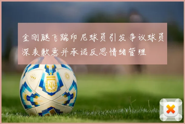 金刚腿飞踹印尼球员引发争议球员深表歉意并承诺反思情绪管理